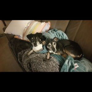 Meet your Posher, Carol